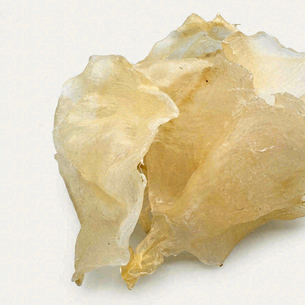 Premium Thick-Fleshed South American Fish Maw