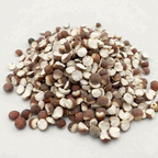 Split Euryale Seeds