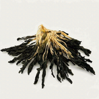Authentic Taishan Sun-Dried Bok Choy (Bai Gan Cai)