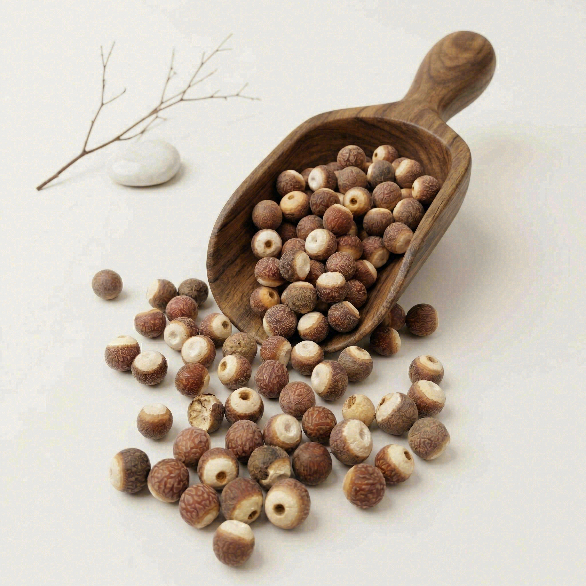 Authentic Skin-On Whole Euryale Seeds