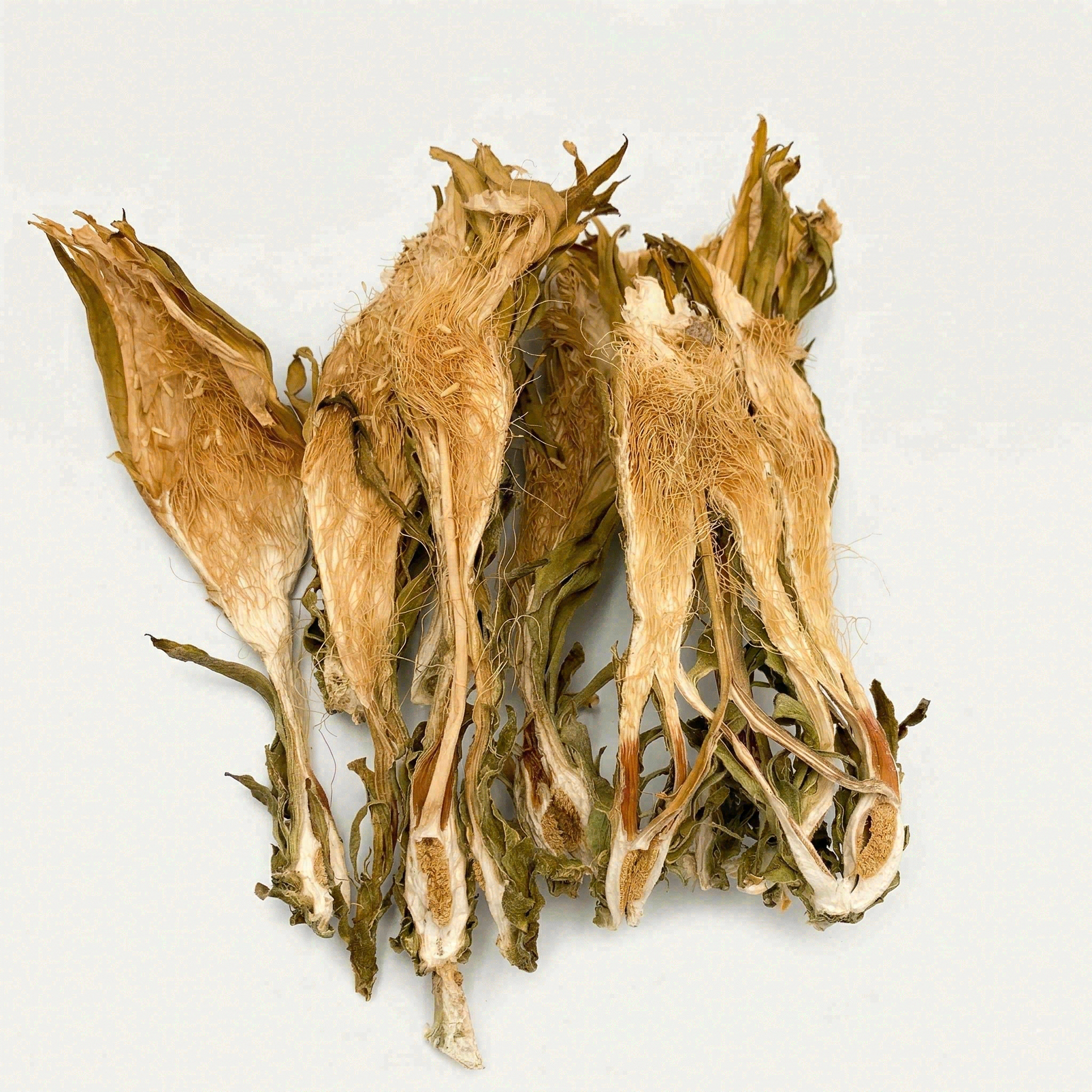Premium Dried Dragon Fruit Flower