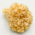 Premium Zhangzhou Snow Fungus