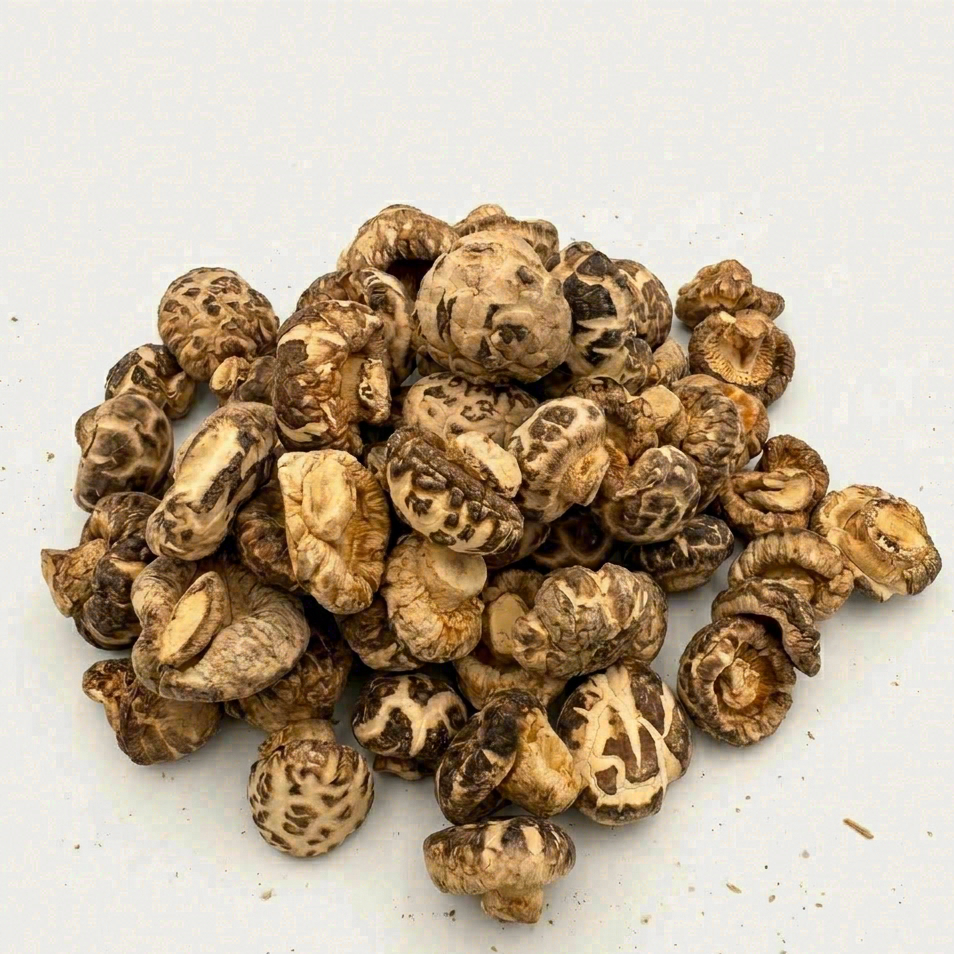 Japanese Tianbai Pearl Shiitake (Heavenly White Mini)