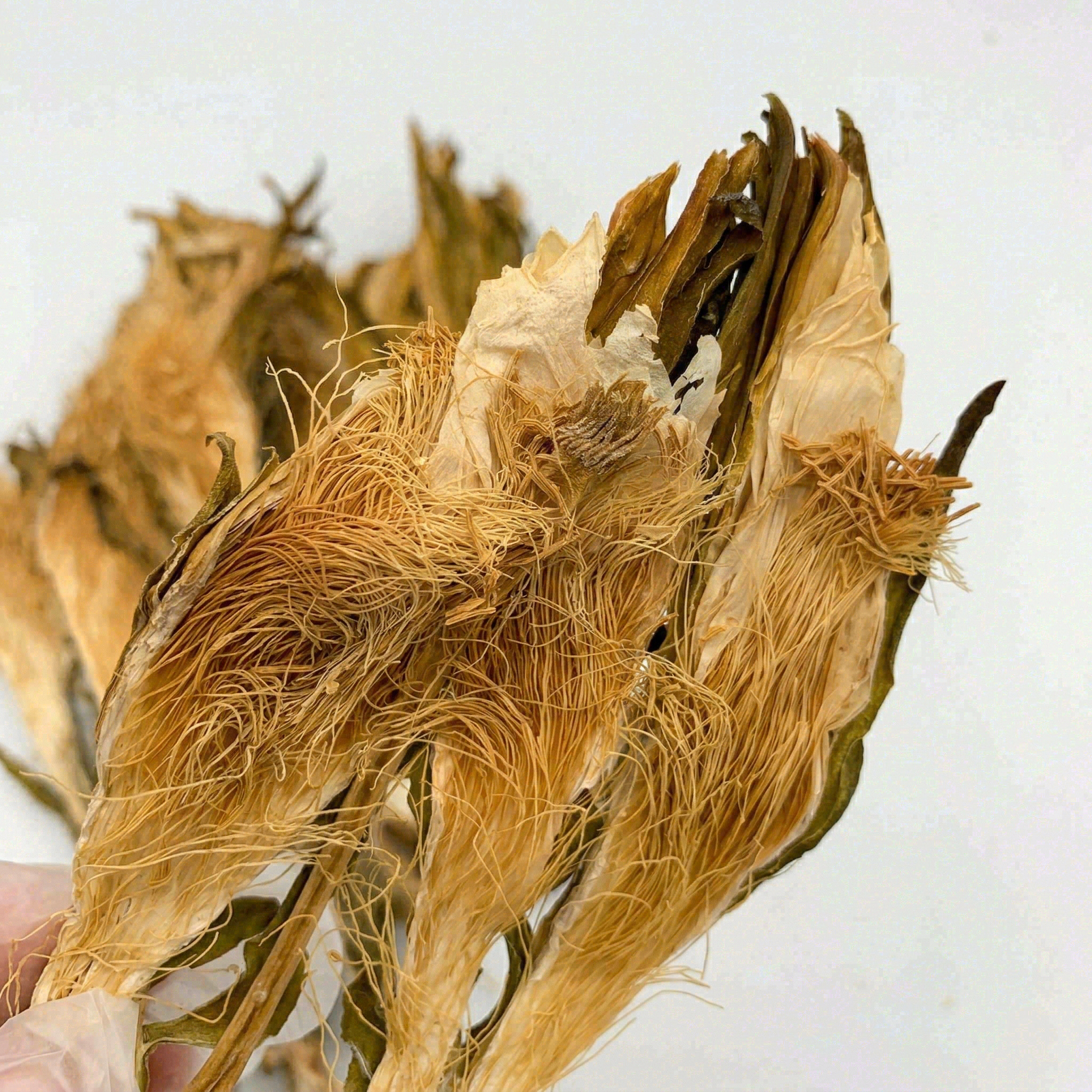 Premium Dried Dragon Fruit Flower