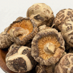 Japanese Tianbai Pearl Shiitake (Heavenly White Mini)