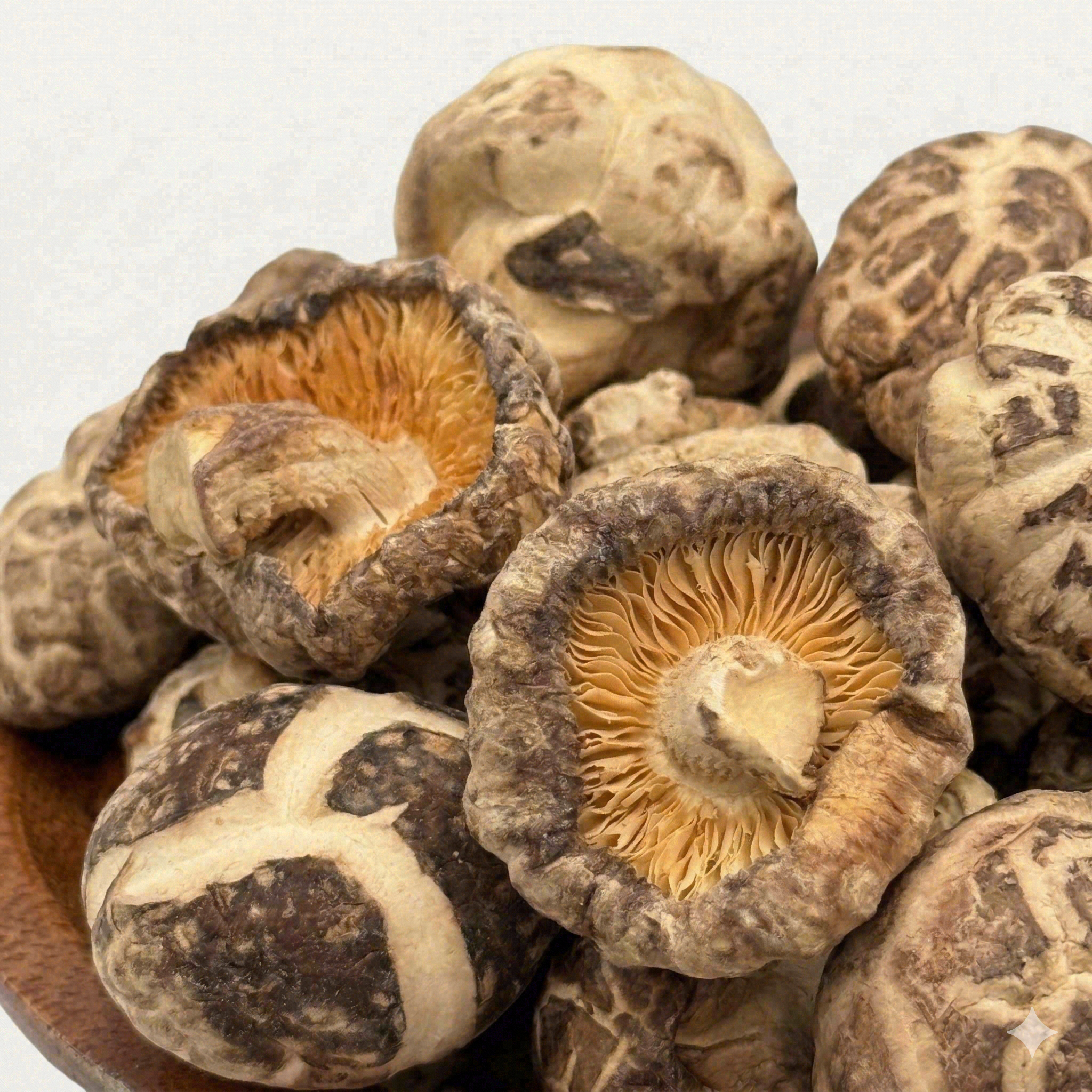 Japanese Tianbai Pearl Shiitake (Heavenly White Mini)