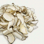 Premium African Sea Coconut Slices