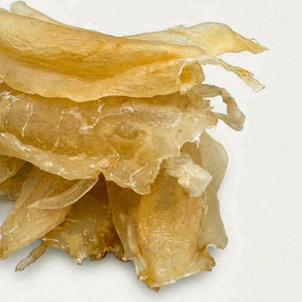 Authentic Translucent South American Fish Maw