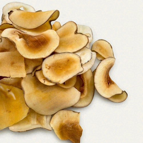 Authentic Golden-Core Sea Coconut Slices