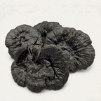 Authentic Whole-Cap Wild Black Reishi