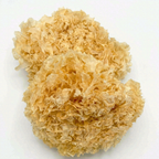 Premium Zhangzhou Snow Fungus