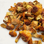 Authentic Thick-Fleshed Royal Sun Mushroom