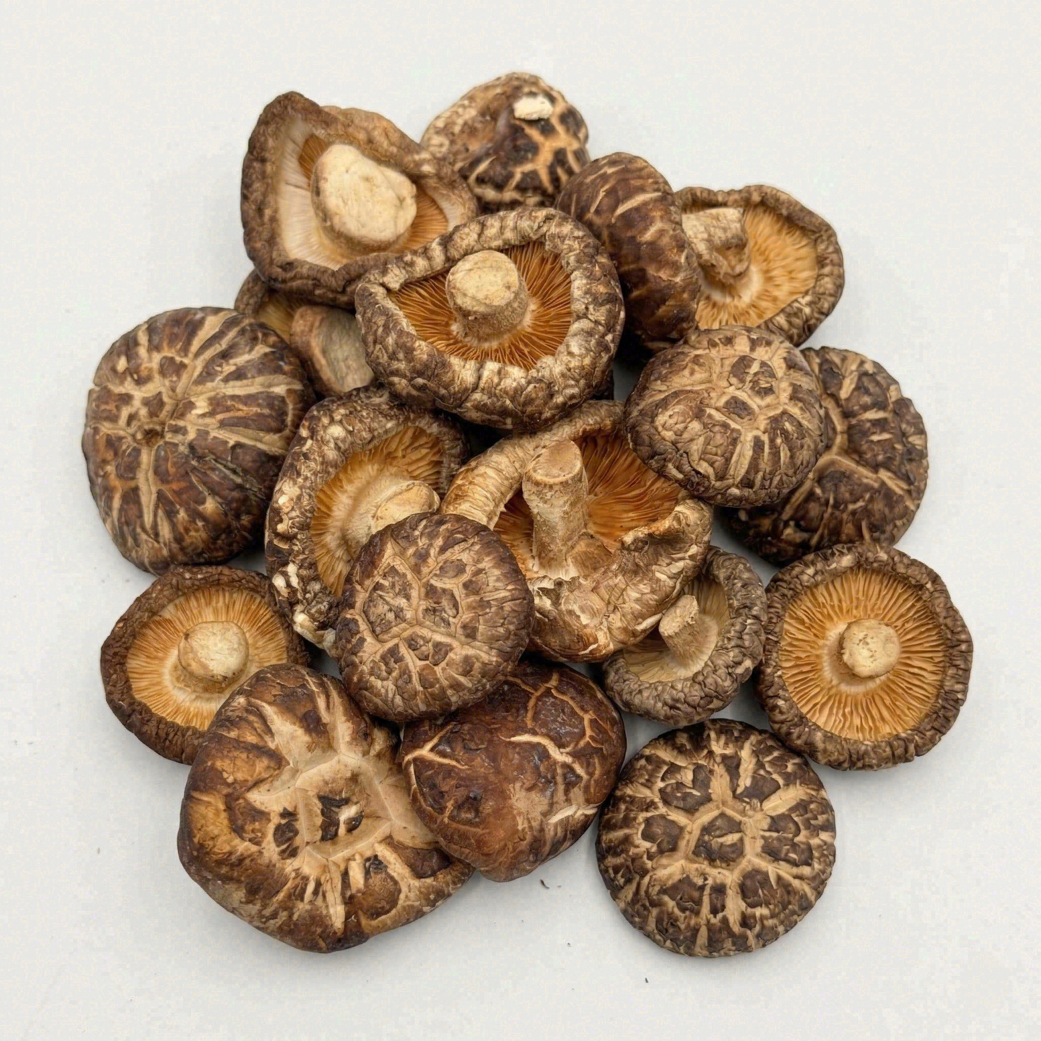 Authentic Japanese Tianbai Shiitake Mushrooms (Heavenly White)