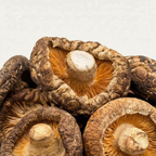 Authentic Japanese Tianbai Shiitake Mushrooms (Heavenly White)