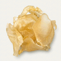 Premium Thick-Fleshed South American Fish Maw
