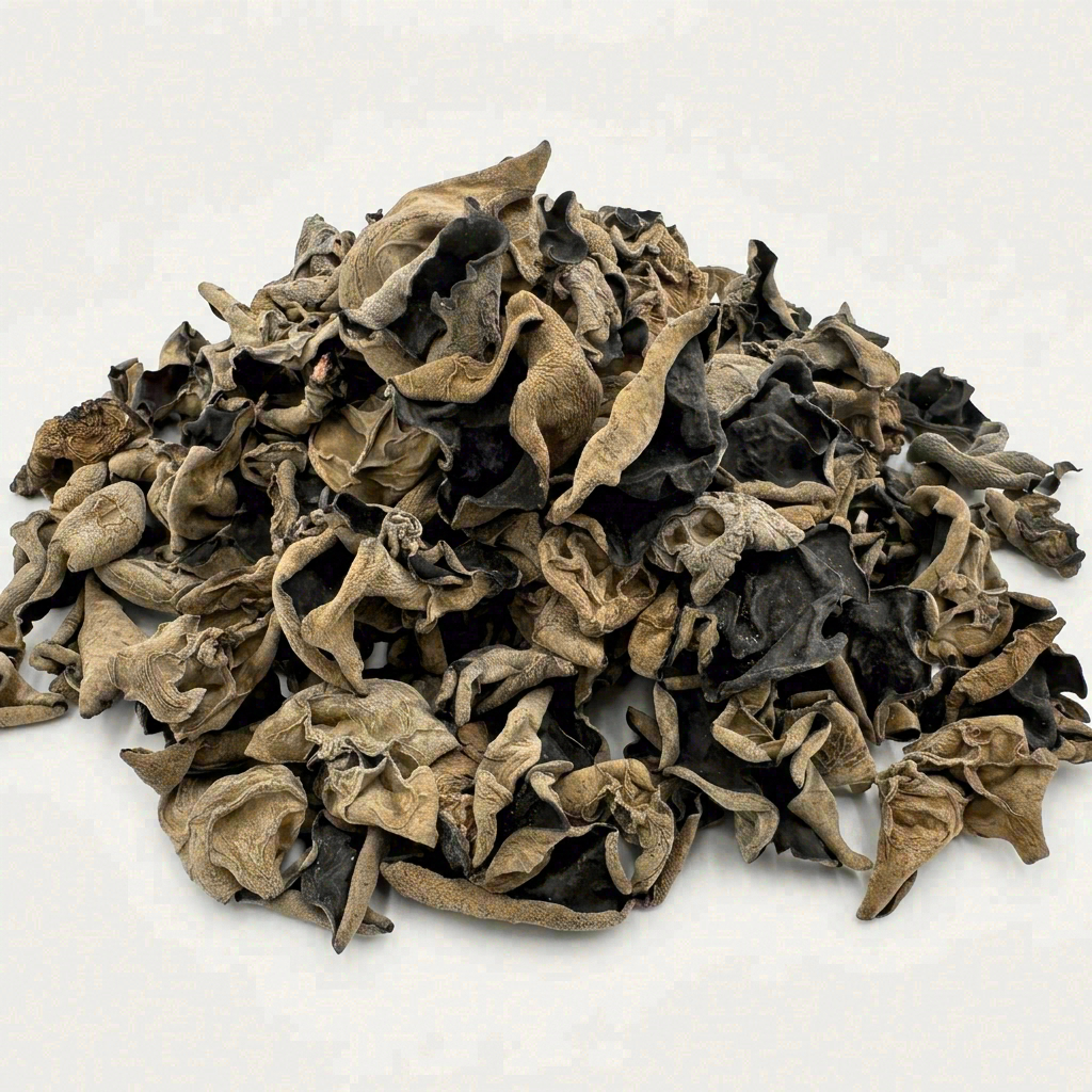 Authentic Rootless Single-Petal Cat-Ear Fungus
