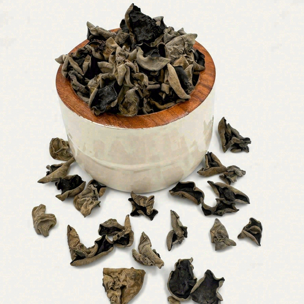 Authentic Rootless Single-Petal Cat-Ear Fungus