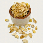 Premium Dried Lily Bulbs