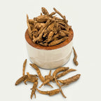 100% US Wild American Ginseng (Panax quinquefolius)