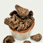 Authentic Sarcodon Mushroom (Tiger's Paw)