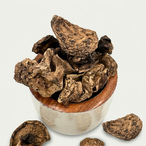 Authentic Sarcodon Mushroom (Tiger's Paw)